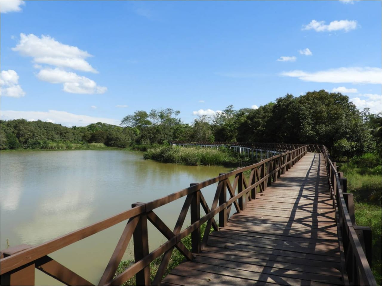 Parque Ecológico Municipal de Ji Paraná uma opção de lazer em meio à