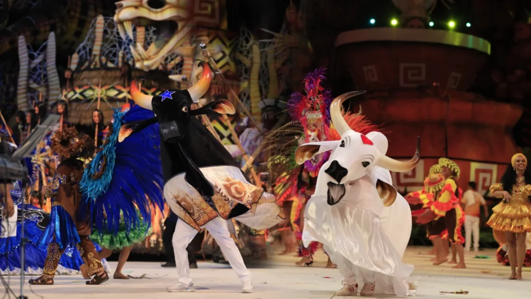 Processo de escolha e avaliação no Festival Folclórico de Parintins