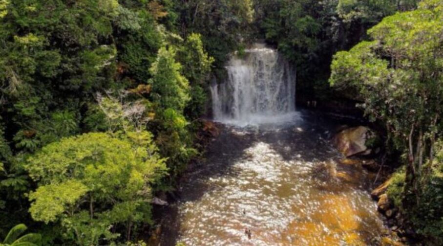 Três lugares imperdíveis no Amazonas para conhecer com a família