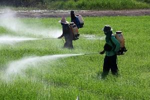 Especialistas falam sobre agrotóxicos e controle de qualidade no INCQS