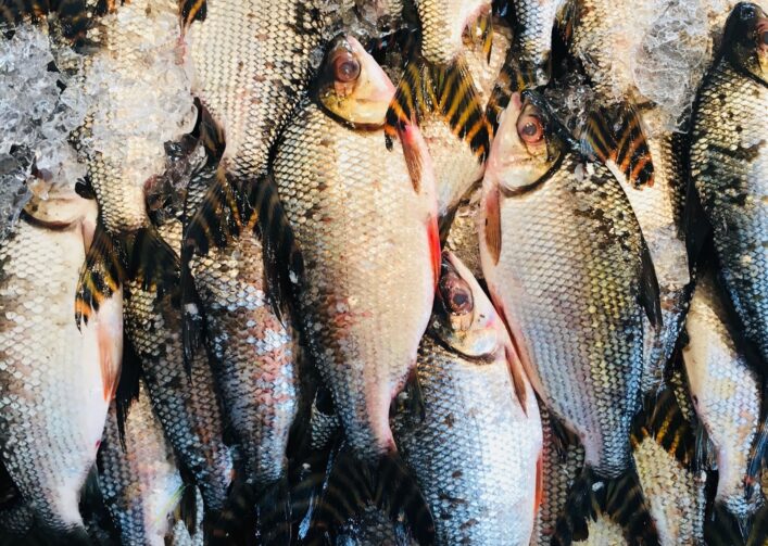 Feiras ao ar livre do Jorge Teixeira oferecem diversas opções de peixes amazônicos