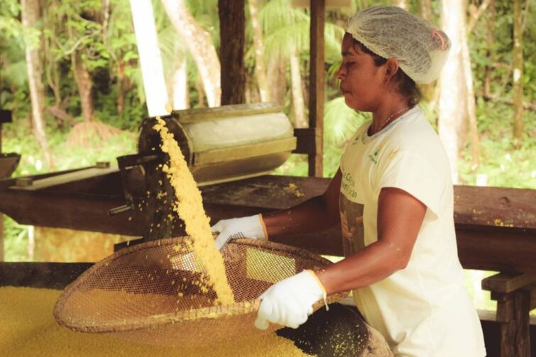 Programa Bolsa Floresta garante empoderamento para mais de 7,7 mil mulheres Ribeirinhas