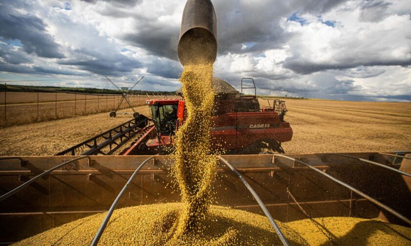 Produção agrícola deve chegar a 269,3 milhões de toneladas, diz Conab