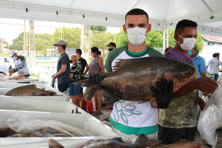 Feirão do Pescado Semana Santa 2022 será realizado de 13 a 15 de abril, em três pontos da capital