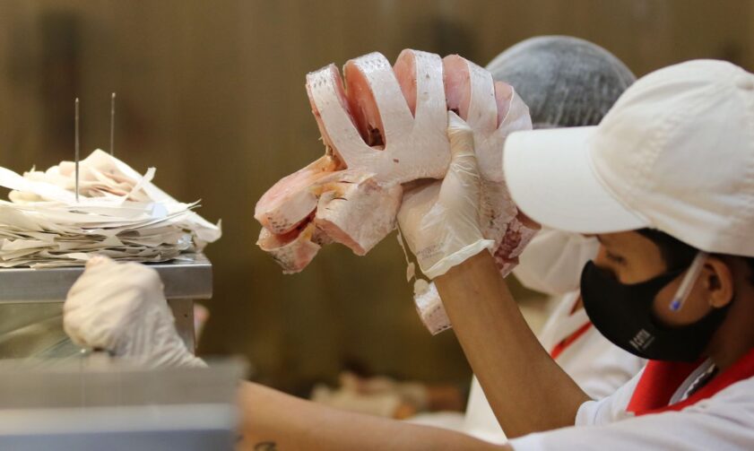 Além de tradição, pescado é opção econômica para a Semana Santa