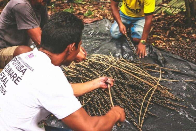 Aproximadamente 90% das medidas econômicas realizadas na pandemia têm impacto negativo na Amazônia, mostra estudo