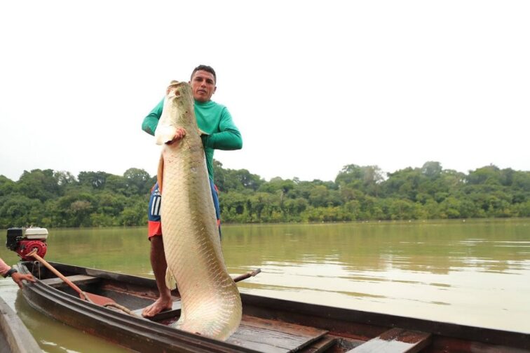 Em três anos, acordos de pesca no Amazonas aumentam mais de 40%