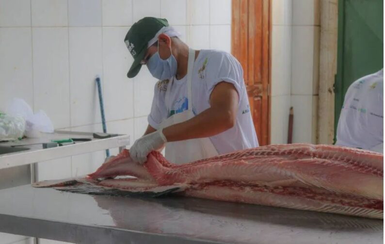 Feira do Pirarucu da FAS oferta peixes com preços que vão de R$7 a R$28