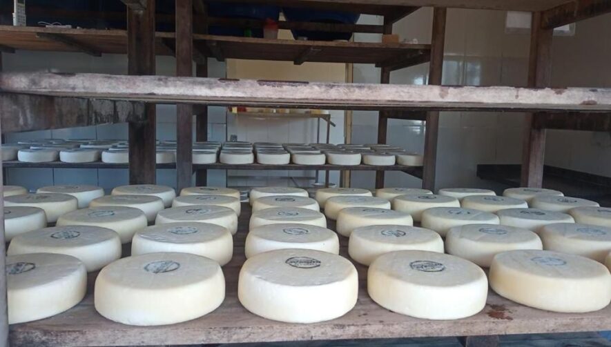 Produtores de queijos de Autazes visitam Serra da Canastra por referências de boas práticas