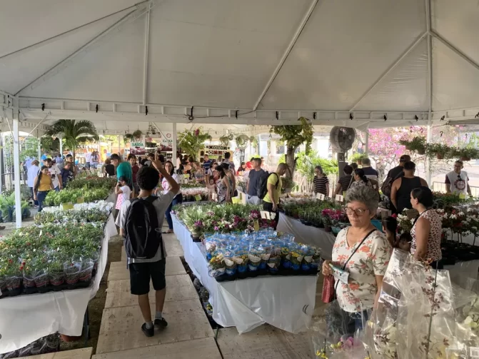 Feira de Flores de Holambra começa nesta sexta, em Manaus