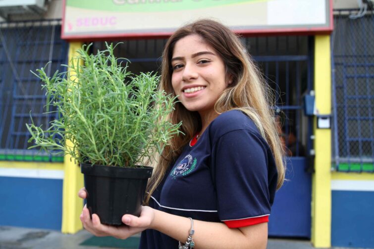 Alunos da rede estadual aprendem sobre ciência com uso de plantas medicinais