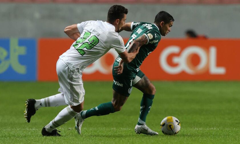 Palmeiras recebe o América-MG no jogo de entrega da taça