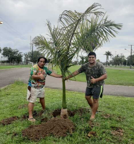 Pai e filho plantam mais de 300 árvores na Vila de Balbina