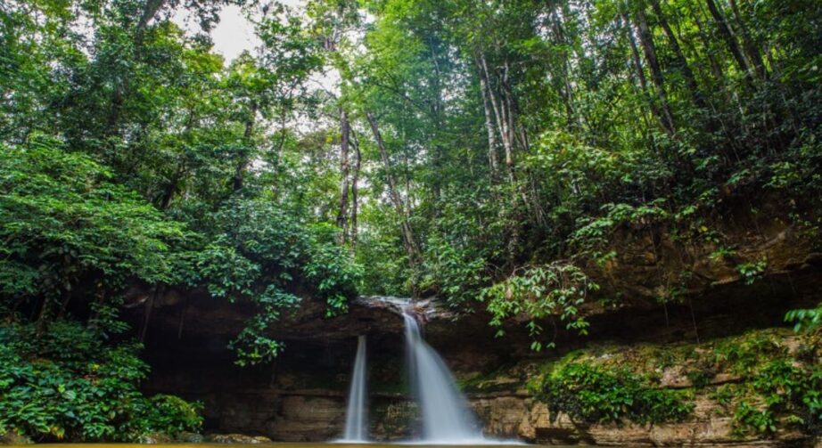 Presidente Figueiredo abriga áreas de preservação com extensa biodiversidade