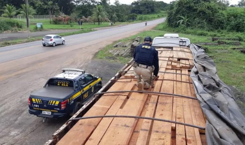 Apreensões de madeira ilegal só aumentam em Rondônia