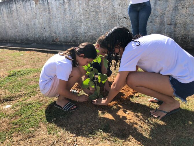 Adolescentes atendidos por projeto social plantam mudas em Ji-Paraná
