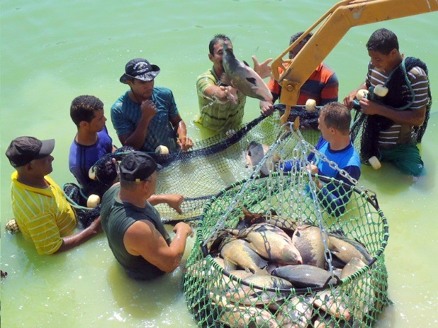 Ariquemes é o maior produtor de peixe em cativeiro da região norte e recebe título de 'Capital do Tambaqui'