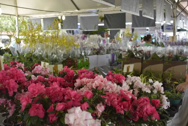 Ariquemes recebe entre os dias 21 e 30 de abril, a 13ª Feira das Flores de Holambra