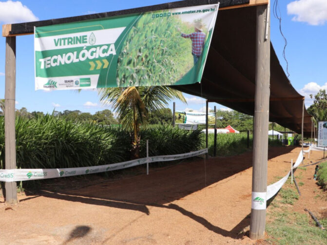 Vitrine Tecnológica apresentará alternativas para produção sustentável durante a Rondônia Rural Show