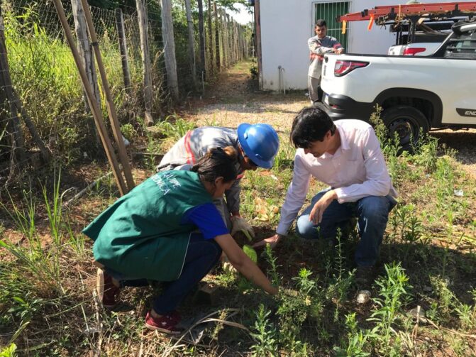 Semeia realiza atividades em alusão à Semana do Meio Ambiente em Ji-Paraná