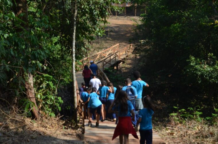 Reinaugurada, trilha ecológica no Parque Botânico é opção de lazer em Ariquemes