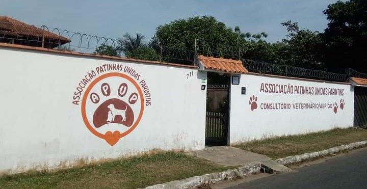 Associação Patinhas Unidas trabalha no resgate e cuidado de animais abandonados em Parintins