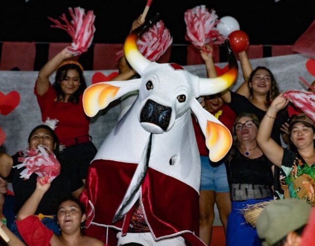 Boi-Bumbá Mineirinho é campeão do Festival Folclórico de Autazes