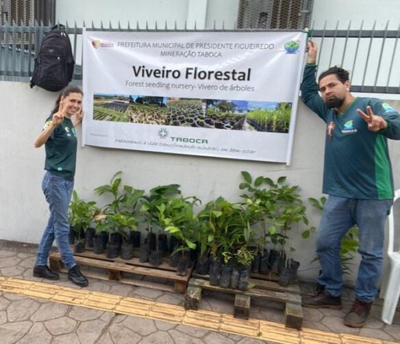 Viva o Verde: projeto de distribuição de mudas tem mudado a paisagem da área urbana de Presidente Figueiredo
