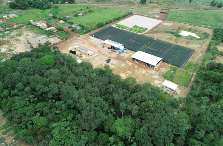 Projeto Agroverde e sua importância para sustentabilidade e reflorestamento de áreas de pequenos produtores