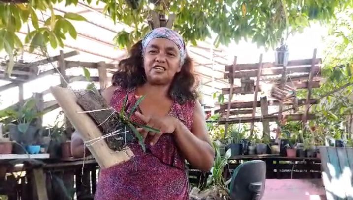 Maria Edileuza resgata plantas em área de desmatamento e faz replantio em Presidente Figueiredo