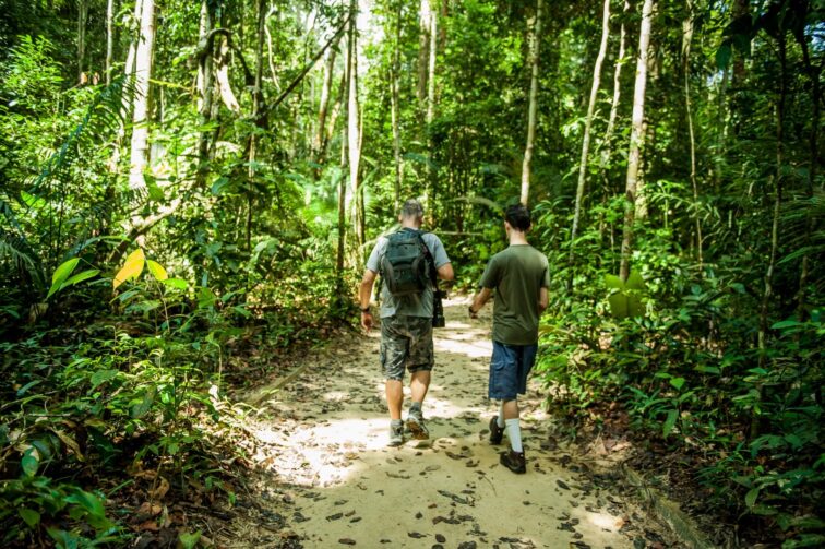 Presidente Figueiredo: suas descobertas na palma das mãos com Amazonas to Go