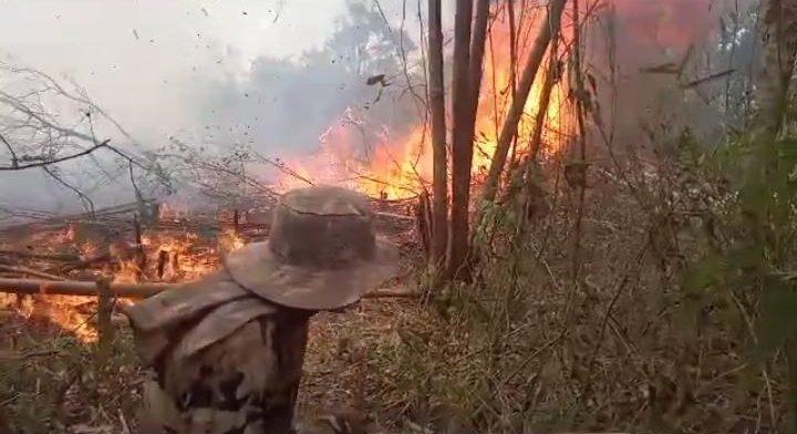 União de Esforços: Parintins e Fórum de Secretários de Meio Ambiente e Ibama lutam contra queimadas