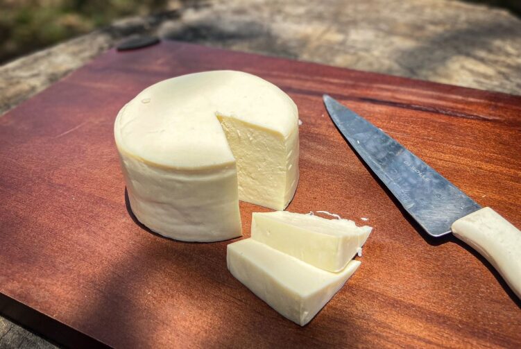 Produção do queijo, em Autazes, cai devido a estiagem histórica no AM