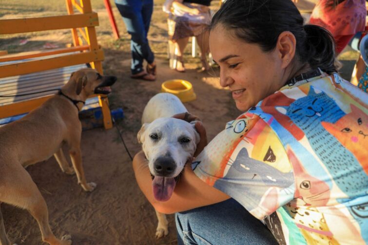 Feira de adoção de cães e gatos acontece neste domingo (8), em Ji-Paraná