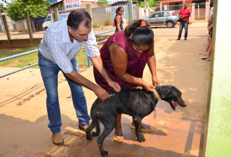 Vacinação antirrábica para cães e gatos começa em Ariquemes; veja cronograma