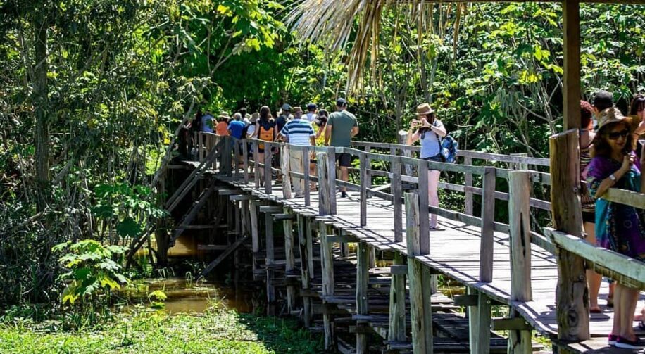 Parque Ecológico Janauari: descubra a exuberância da Amazônia em Iranduba