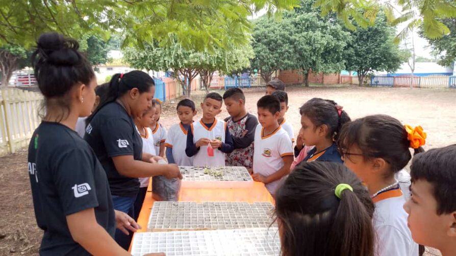 Projetos sobre meio ambiente cultivam conhecimento e sustentabilidade em escola de Parintins