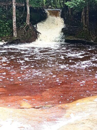 Cachoeira das orquídeas: o encanto além das águas em Presidente Figueiredo