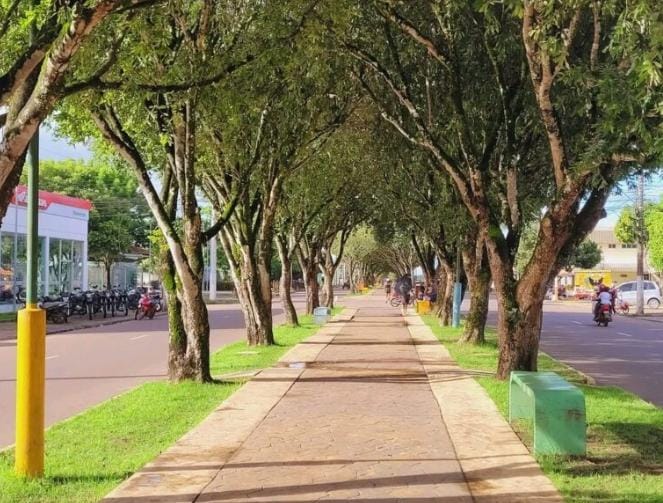 Túnel Verde de Itacoatiara: conheça a história da Avenida Parque