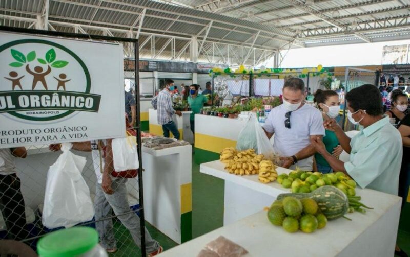 Conheça a Feira Municipal de Rorainópolis: ponto de comércio e cultura regional