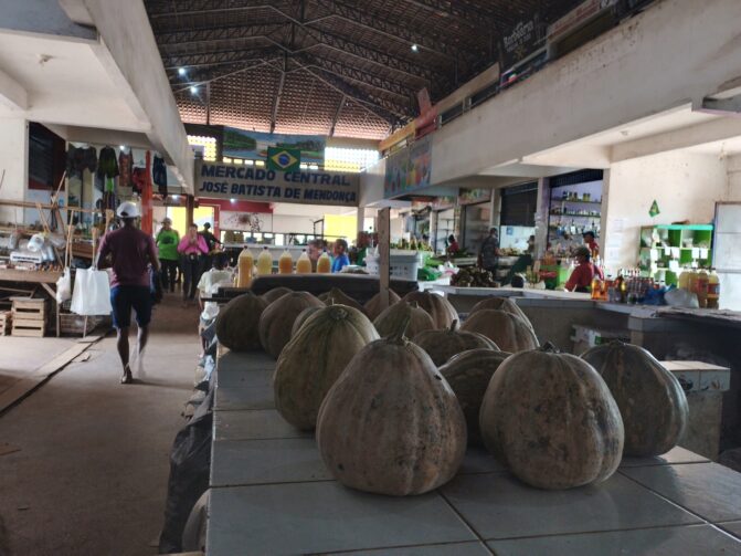 Descubra o Mercado Central José Batista de Mendonça em Careiro 