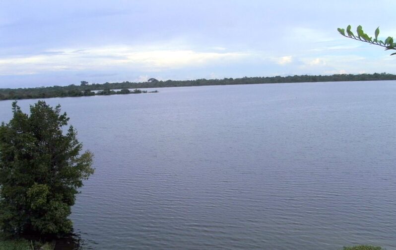 Lago de Coari: onde a natureza encontra a vida