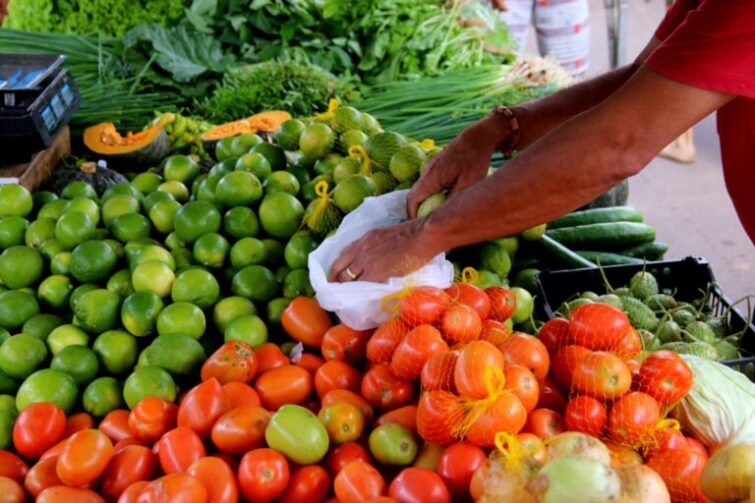 Programa de Aquisição de Alimentos vai beneficiar famílias de produtores rurais em Ji-Paraná