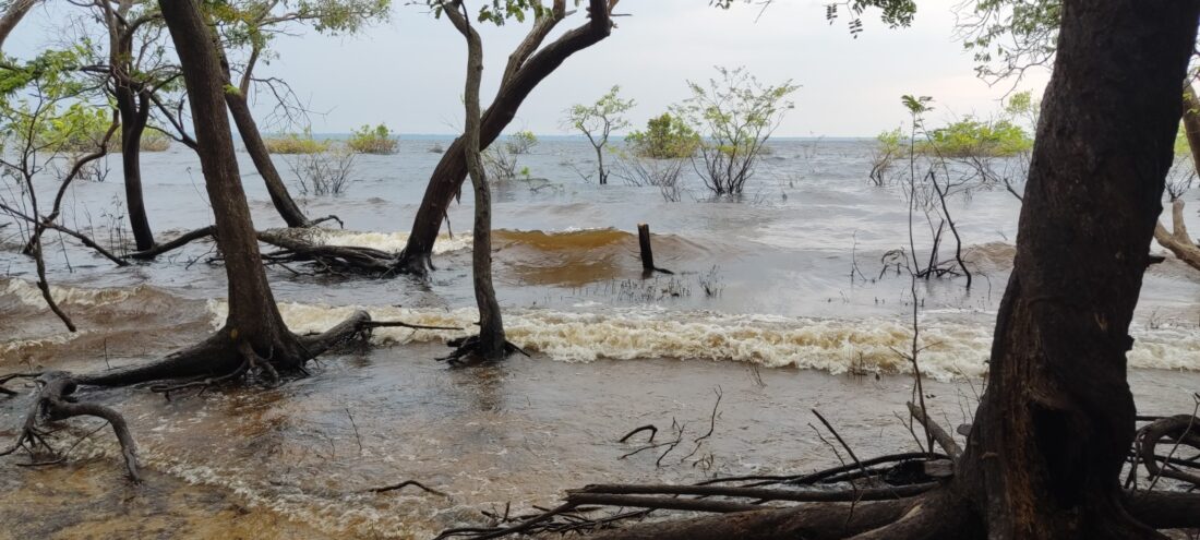 Conheça a Praia da Freguesia, um paraíso turístico em Coari