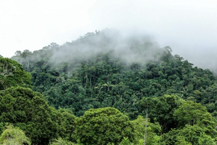 Conheça o Parque Nacional da Serra do Divisor, distribuído em cinco municípios do Acre, sendo um deles Cruzeiro do Sul