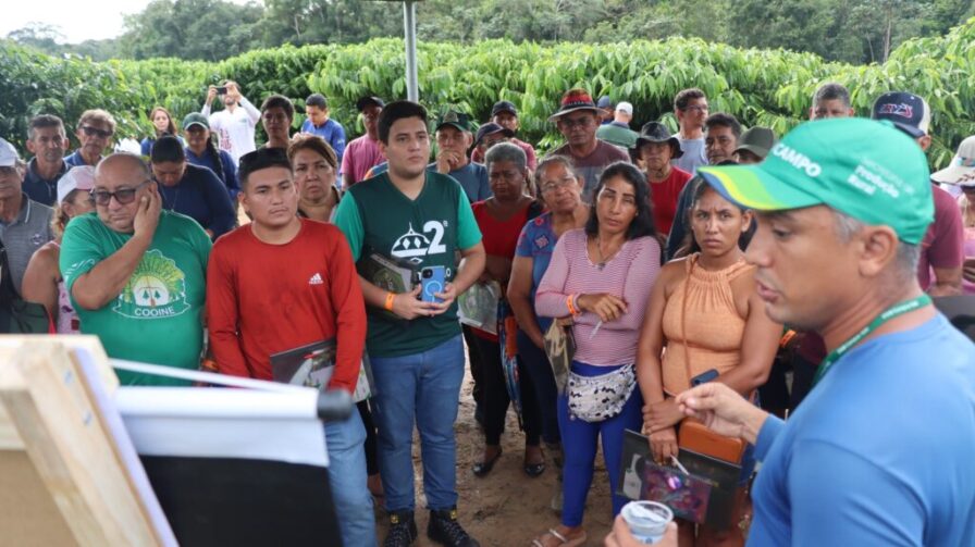 Dia de Campo do Café: Idam leva capacitação a 190 agricultores em Rio Preto da Eva