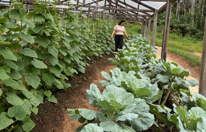 Cruzeiro do Sul passa a integrar o Sistema Nacional de Segurança Alimentar e Nutricional