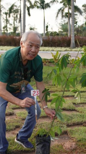 Bosque das Sumaúmas dá início a projeto de Educação Ambiental no Tarumã