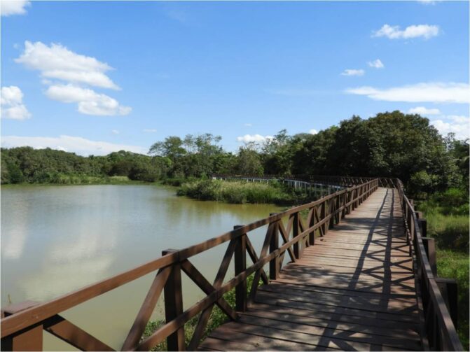 Parque Ecológico Municipal de Ji-Paraná: uma opção de lazer em meio à natureza
