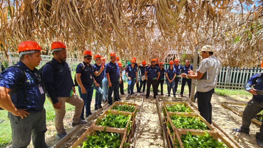 ‘Dia de Campo da Castanha’ acontece no dia 30 de agosto, em Itacoatiara; inscrições estão abertas